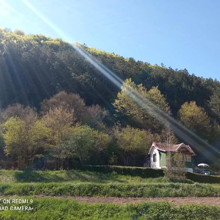 Vikendica Vrelo Pirot Exteriér fotografie