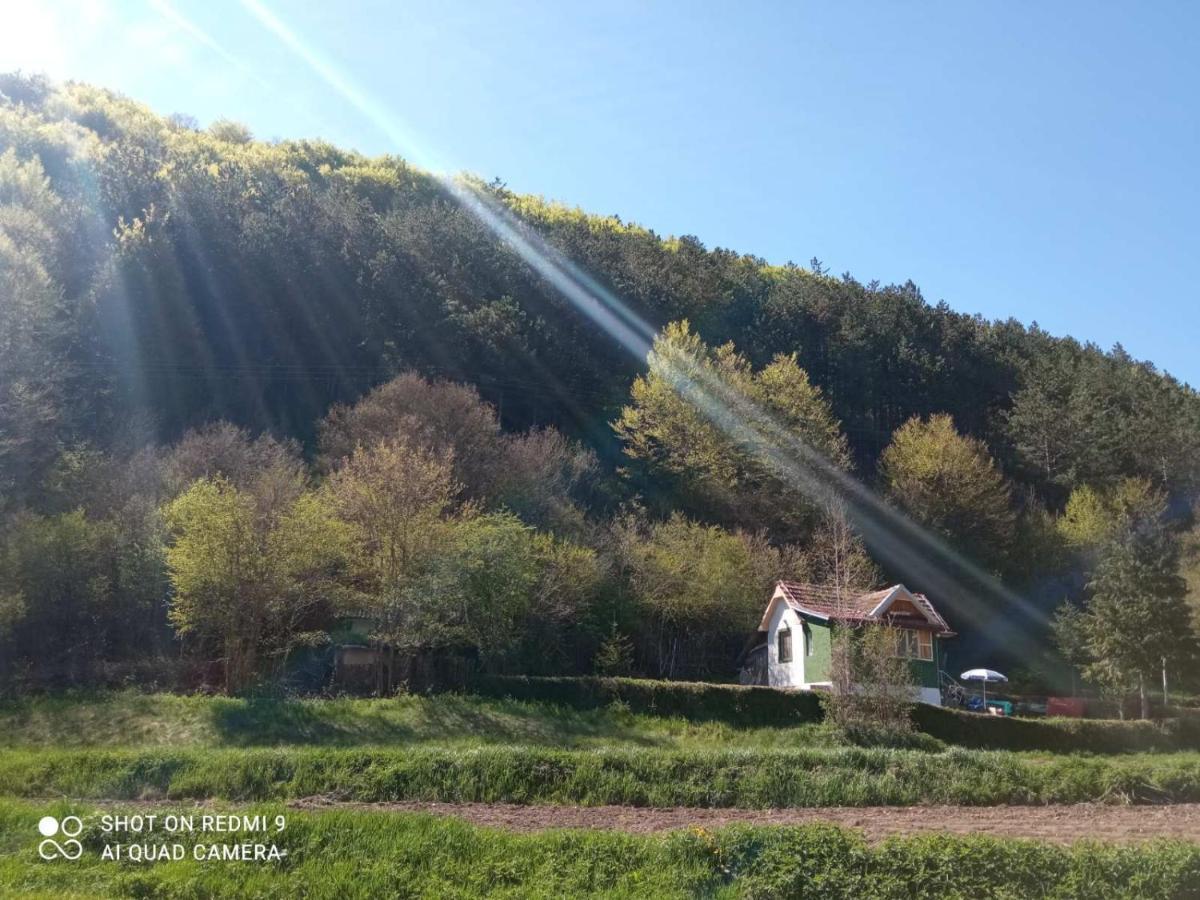 Vikendica Vrelo Pirot Exteriér fotografie